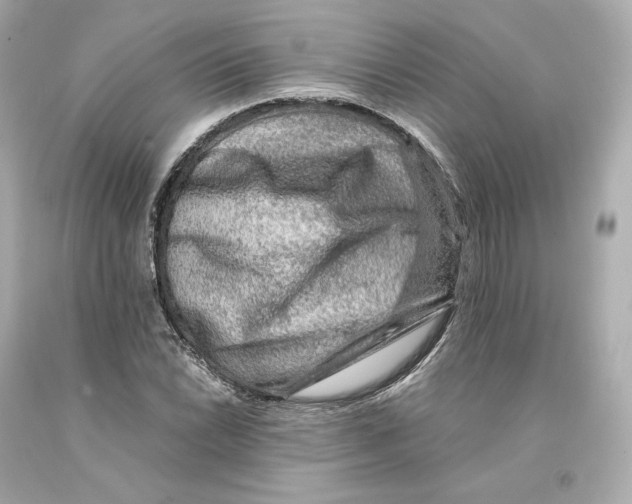 X0000093101022200710241217