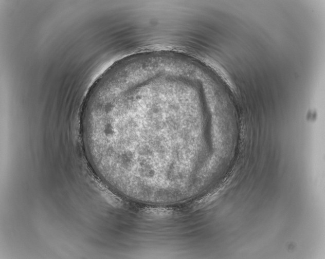 X0000093101023200710241217