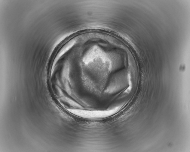 X0000093101024200710241217