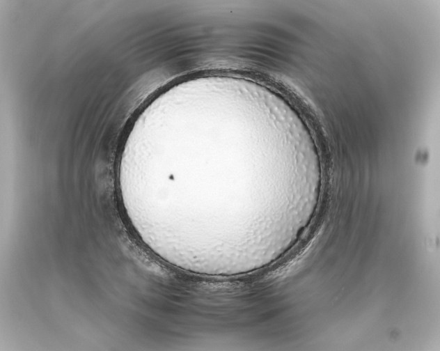 X0000093101025200710241217