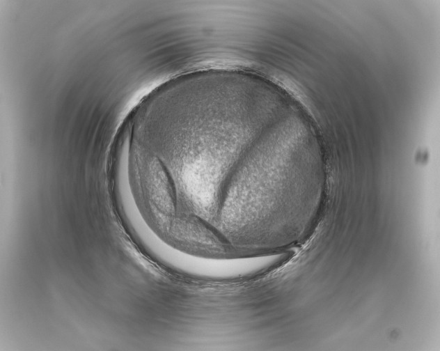 X0000093101026200710241217
