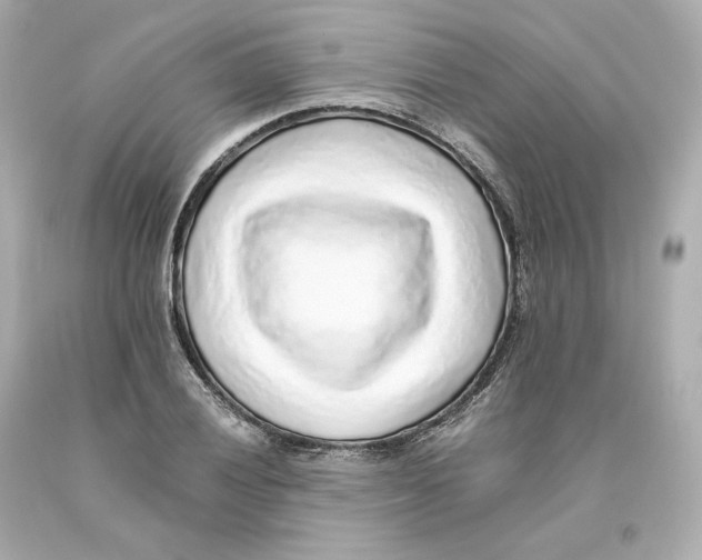 X0000093101028200710241217