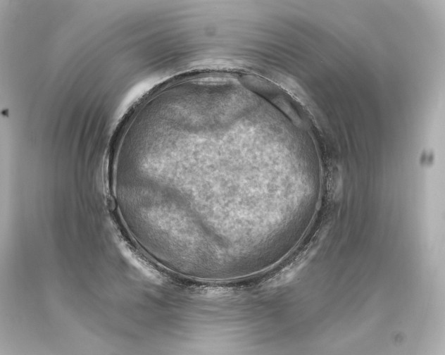 X0000093101030200710241217