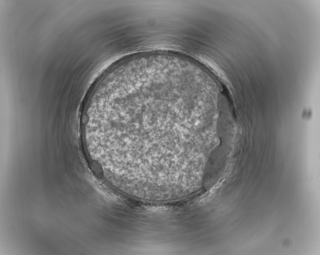 X0000093101031200710241217