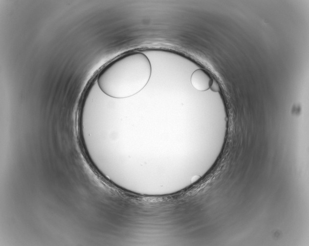 X0000093101032200710241217