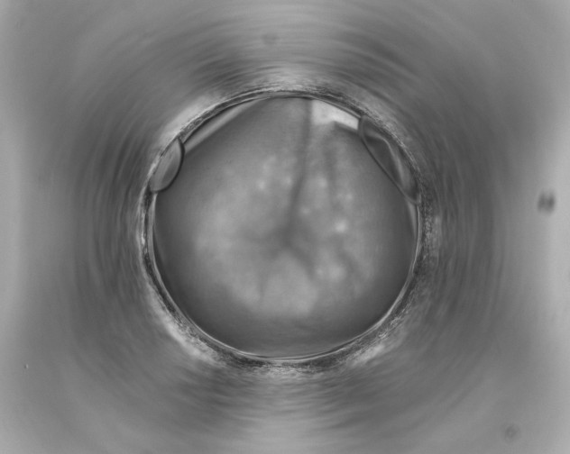 X0000093101034200710241217