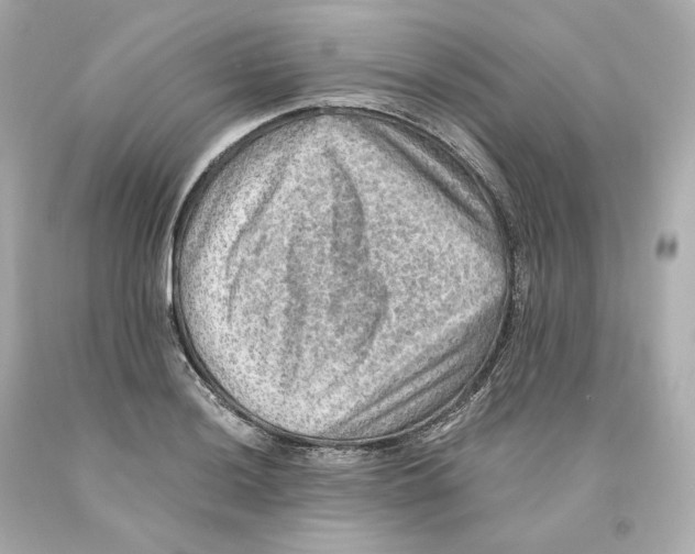 X0000093101036200710241217