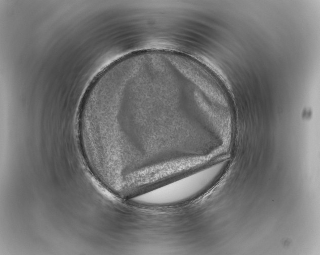 X0000093101037200710241217