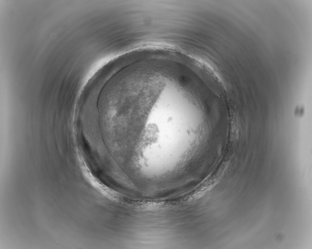 X0000093101038200710241217