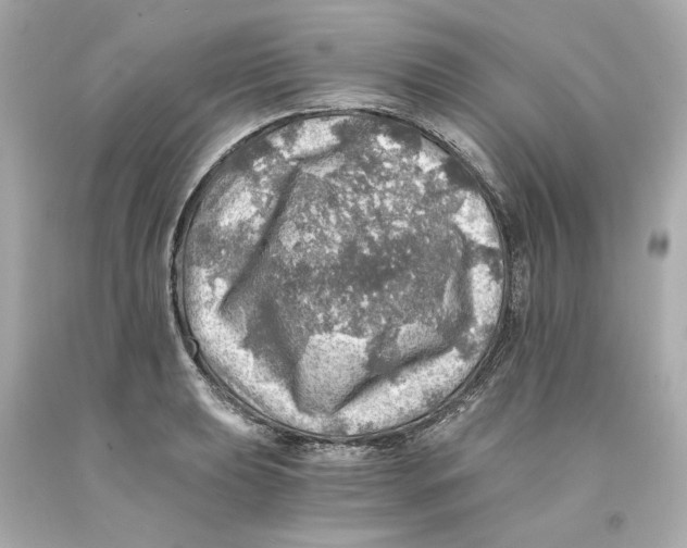 X0000093101039200710241217
