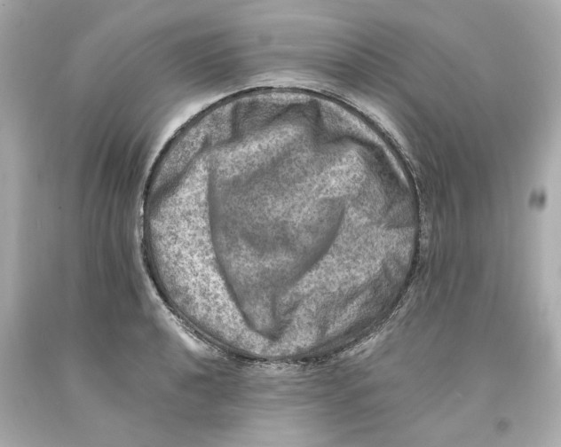 X0000093101040200710241217
