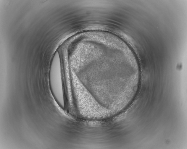 X0000093101041200710241217
