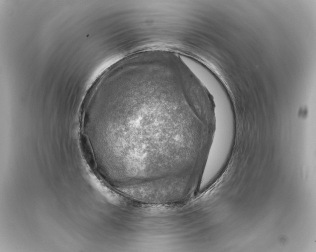 X0000093101042200710241217