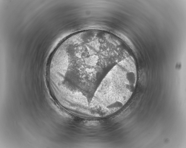 X0000093101043200710241217