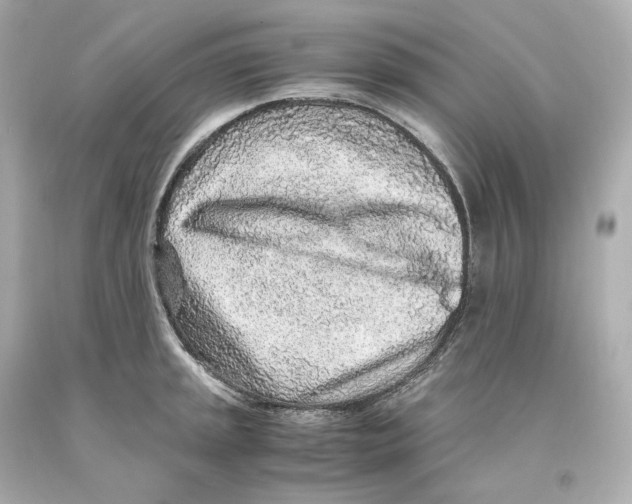 X0000093101045200710241217