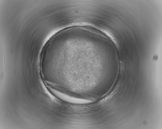 X0000093101046200710241217