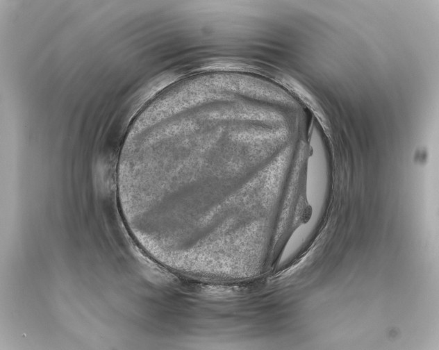 X0000093101049200710241217
