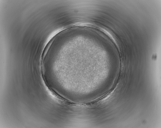 X0000093101050200710241217