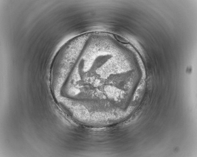 X0000093101051200710241217