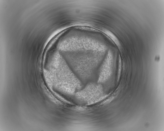 X0000093101052200710241217