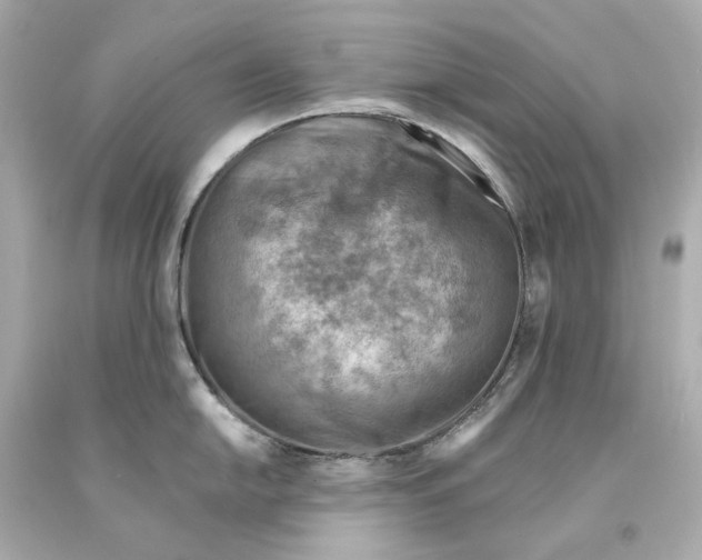 X0000093101054200710241217