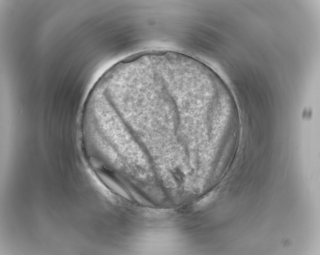 X0000093101056200710241217