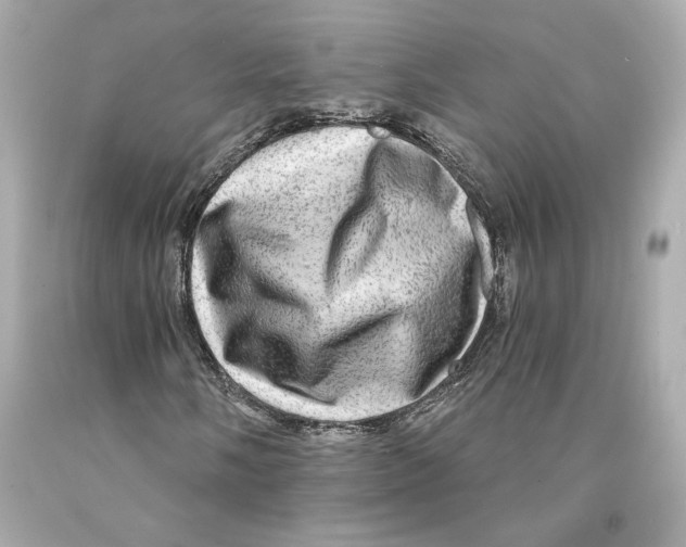 X0000093101058200710241217
