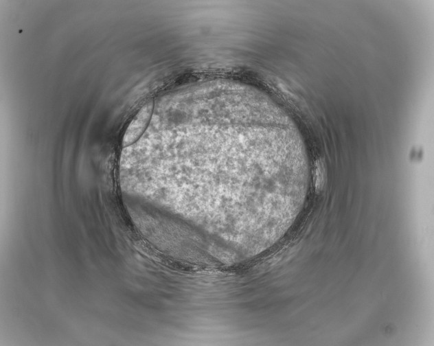 X0000093101059200710241217