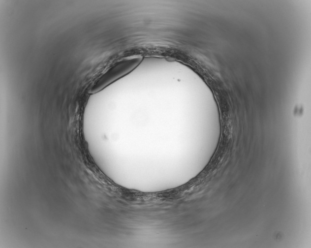 X0000093101061200710241217