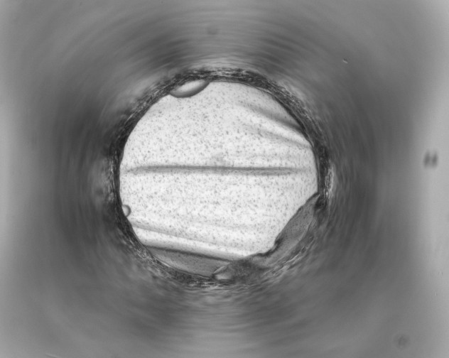 X0000093101062200710241217