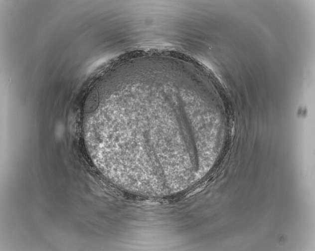 X0000093101063200710241217