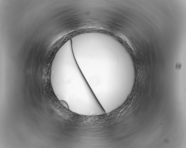 X0000093101064200710241216