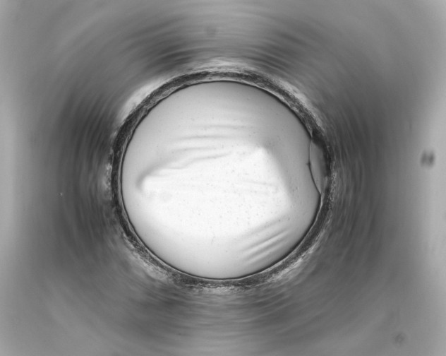 X0000093101066200710241216