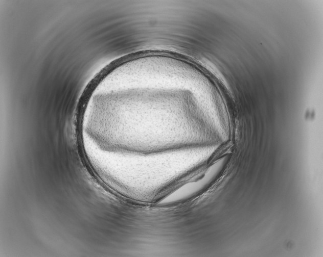 X0000093101068200710241216