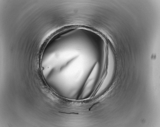 X0000093101069200710241216