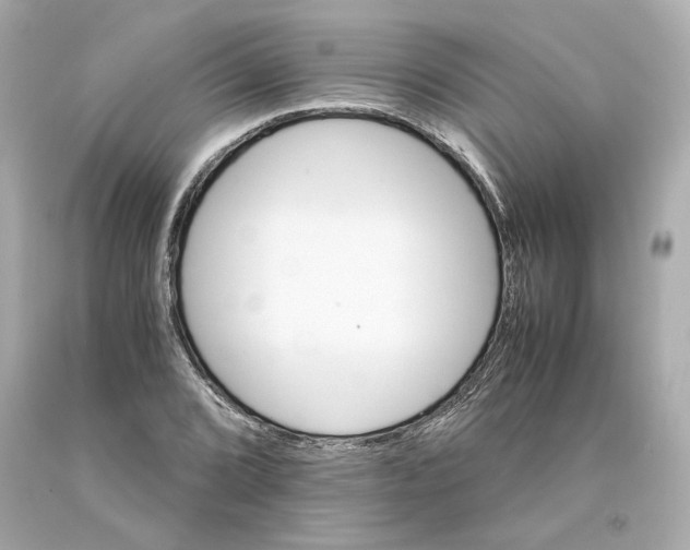 X0000093101072200710241216