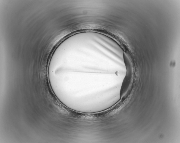 X0000093101073200710241216