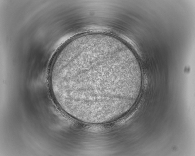 X0000093101074200710241216