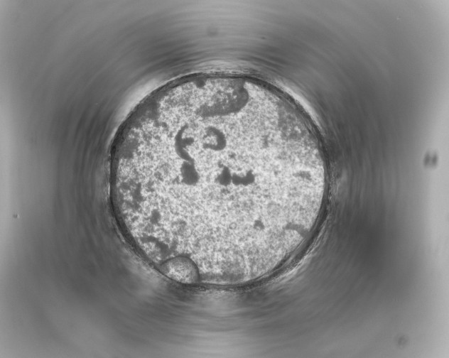 X0000093101075200710241216