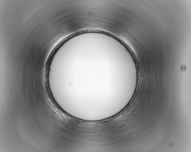 X0000093101076200710241216