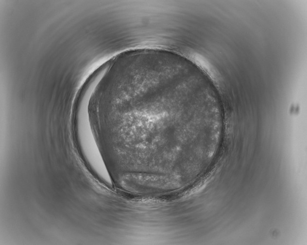 X0000093101077200710241216