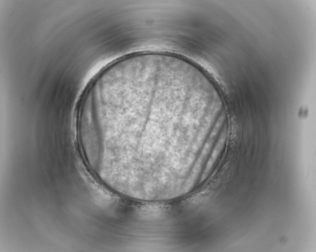X0000093101078200710241216