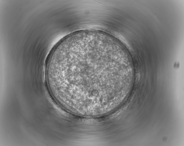 X0000093101079200710241216