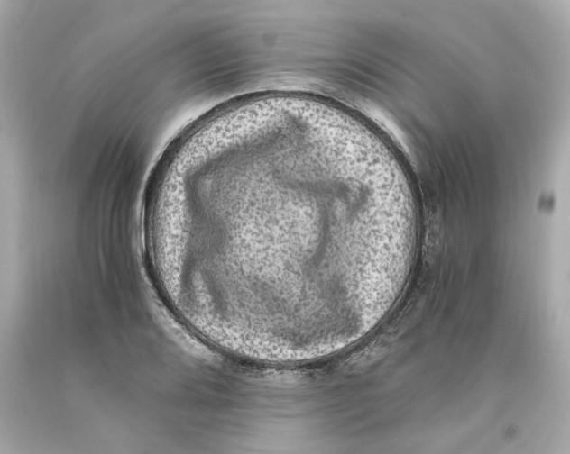 X0000093101080200710241216