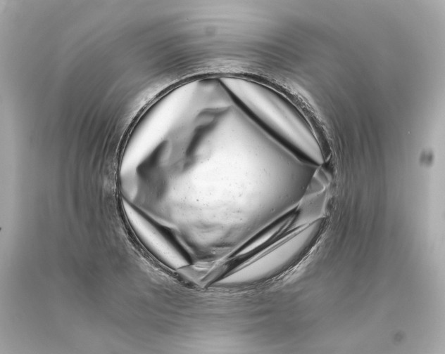 X0000093101081200710241216
