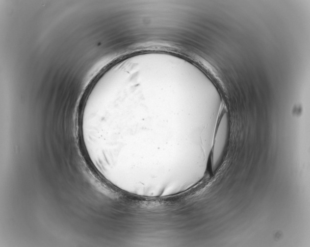 X0000093101082200710241216