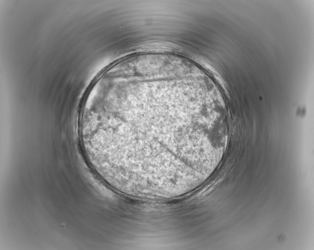 X0000093101083200710241216