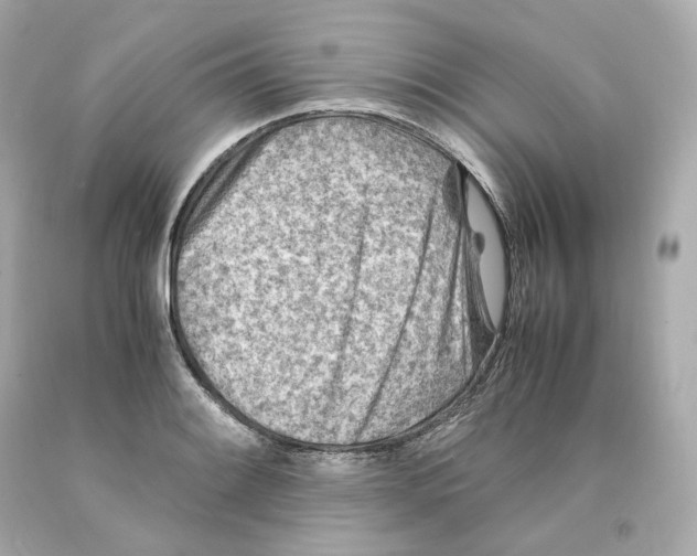 X0000093101084200710241216