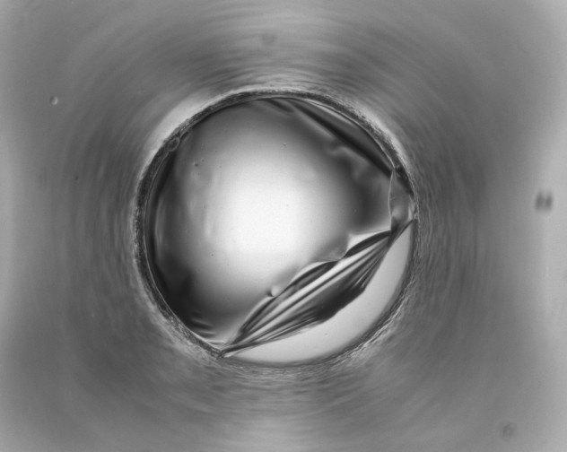X0000093101085200710241216
