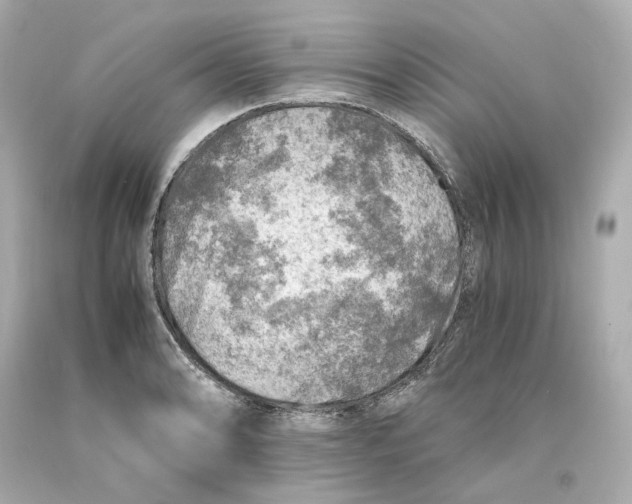 X0000093101086200710241216